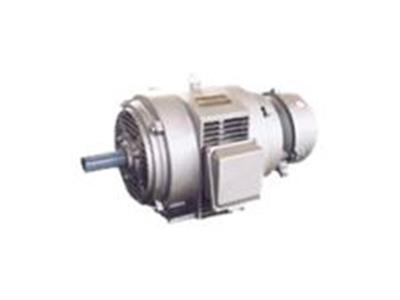 轉(zhuǎn)子電機(jī)-繞線轉(zhuǎn)子電機(jī)