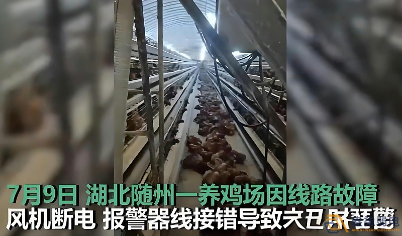 養(yǎng)雞場(chǎng)為什么要24h監(jiān)測(cè)溫濕度斷電報(bào)警器？